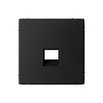 Накладка информационная ArtGallery типа Keystone карбон GAL001084 SE